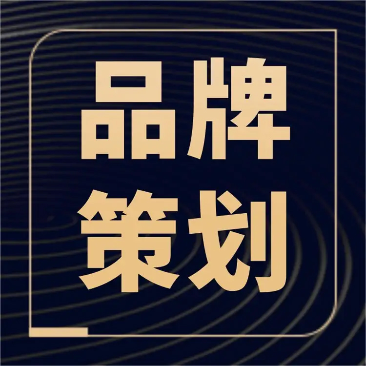 策划方案代写市场营销制作品牌活动开业庆典企业项目